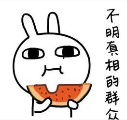 吃瓜引发的笑话,一场舌尖上的欢乐盛宴