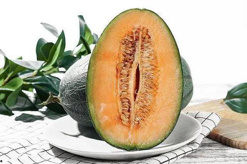 这月吃瓜的季节