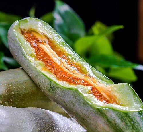 山东蓝翔吃瓜,吃瓜群众眼中的职业教育传奇