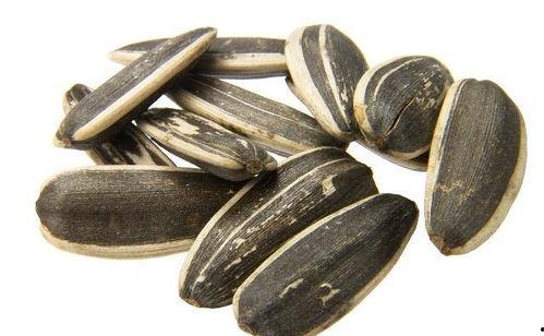 瓜吃瓜子神器,轻松享受夏日美味新体验